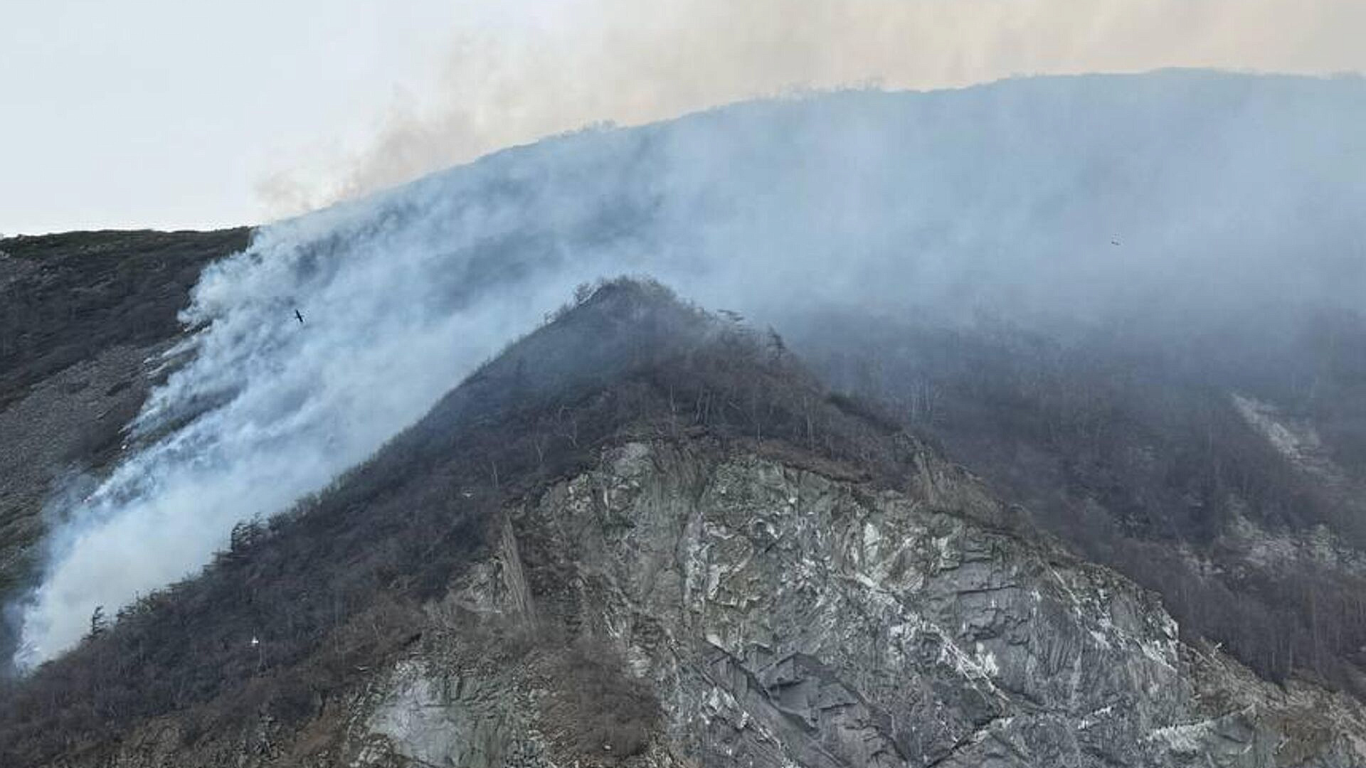 ����� �� ������� ������������� � ����������� ������� ��������