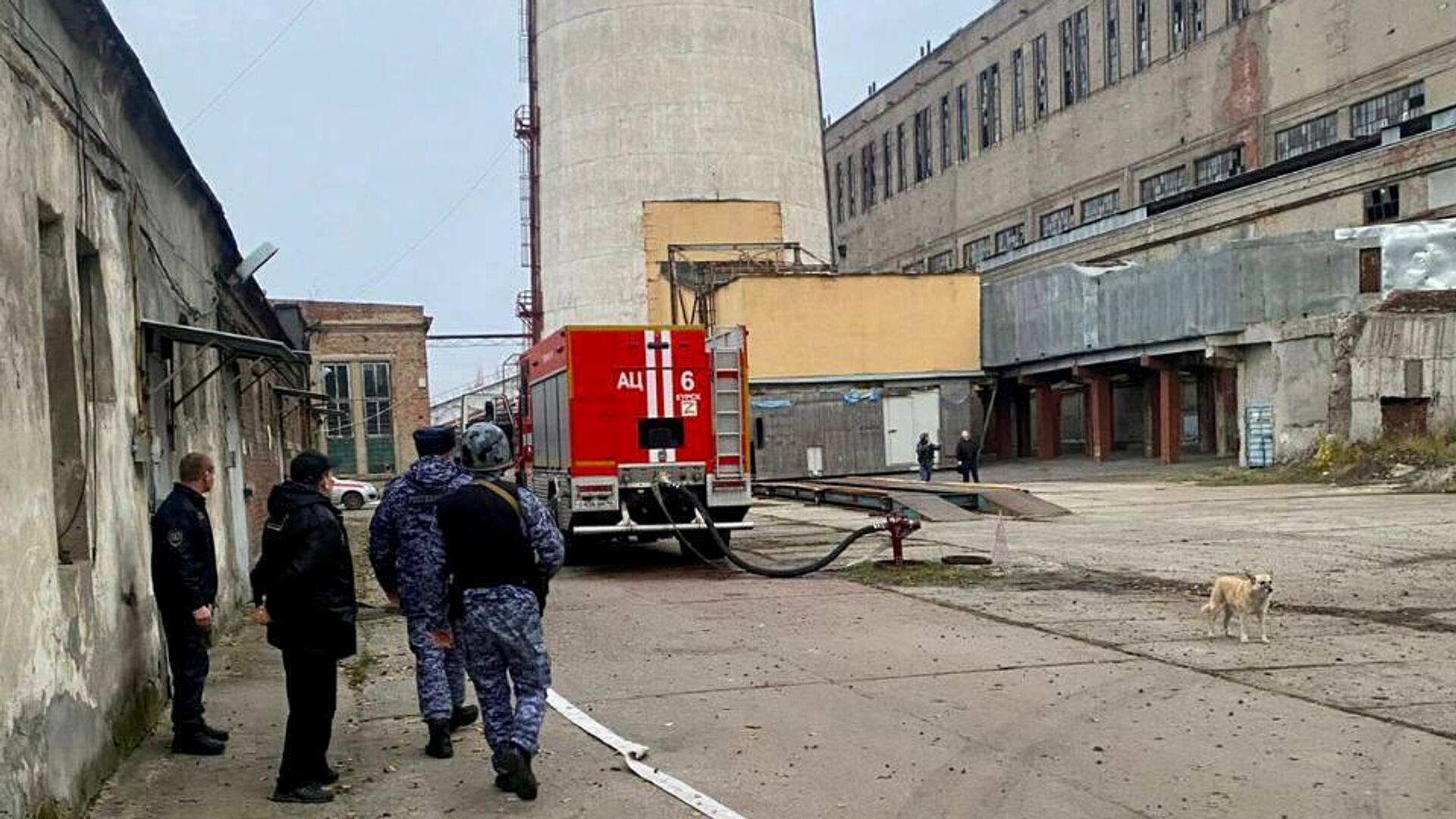 � �������� ������ ��������� ����� �� ���-9 � ���� ���������� ������