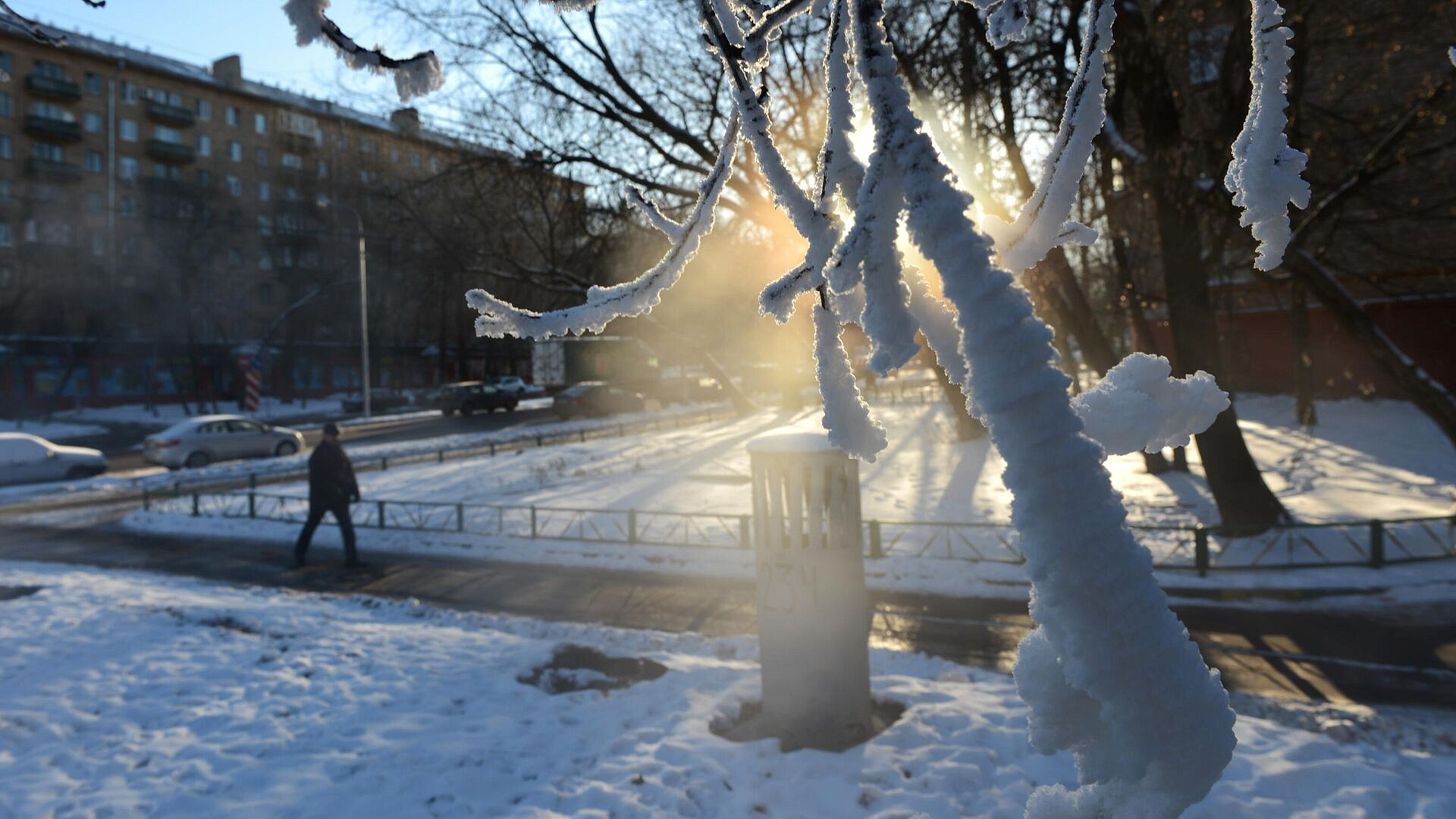 Москвичам рассказали, когда начнет таять снежный покров