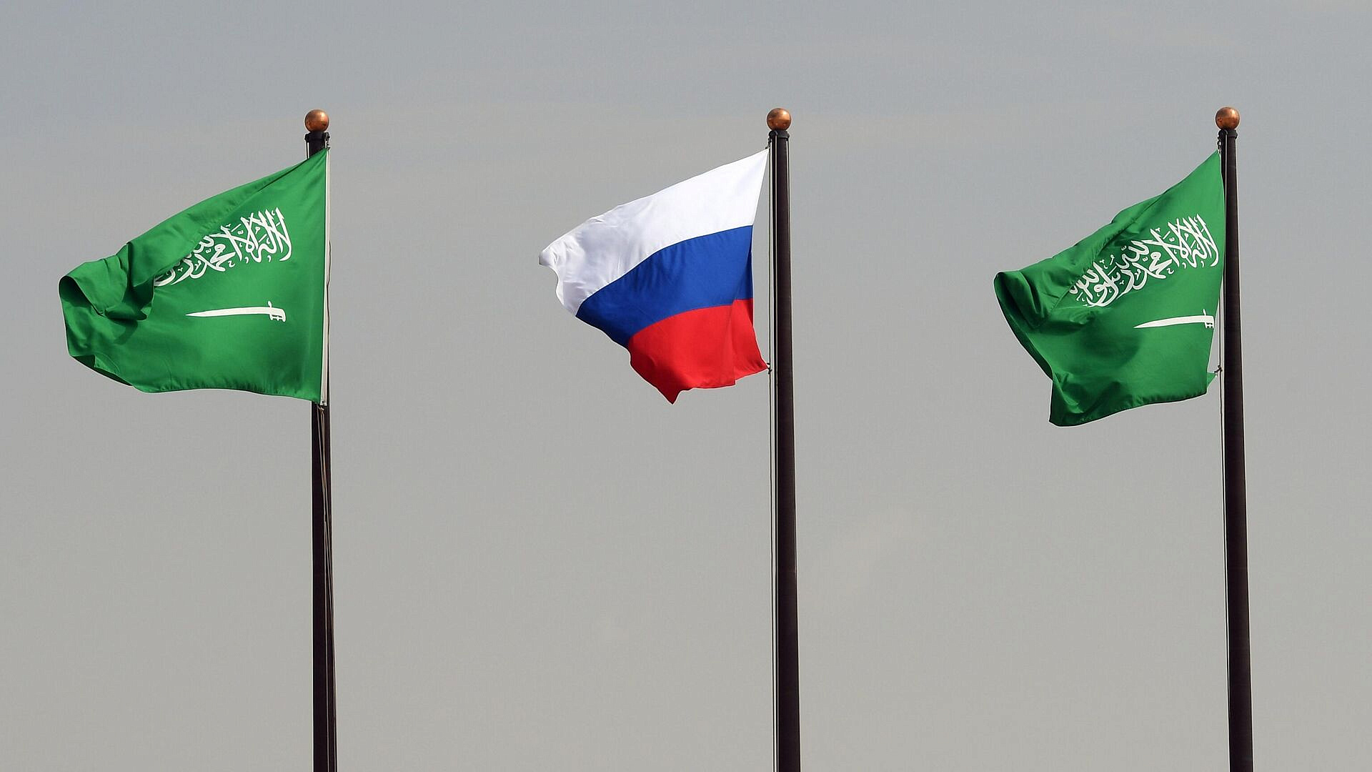 В Госдуме рассказали о турпотоке между Россией и Саудовской Аравией