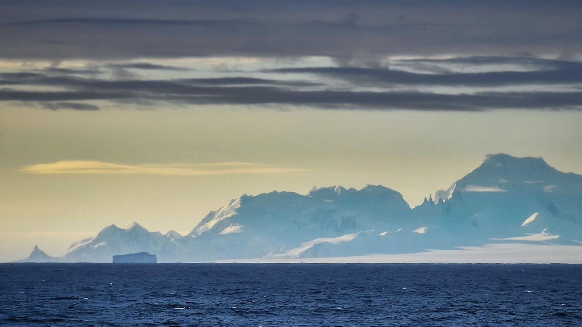 ���: ������ ����� �� ������ �� ������������� ���� ��� � ����������