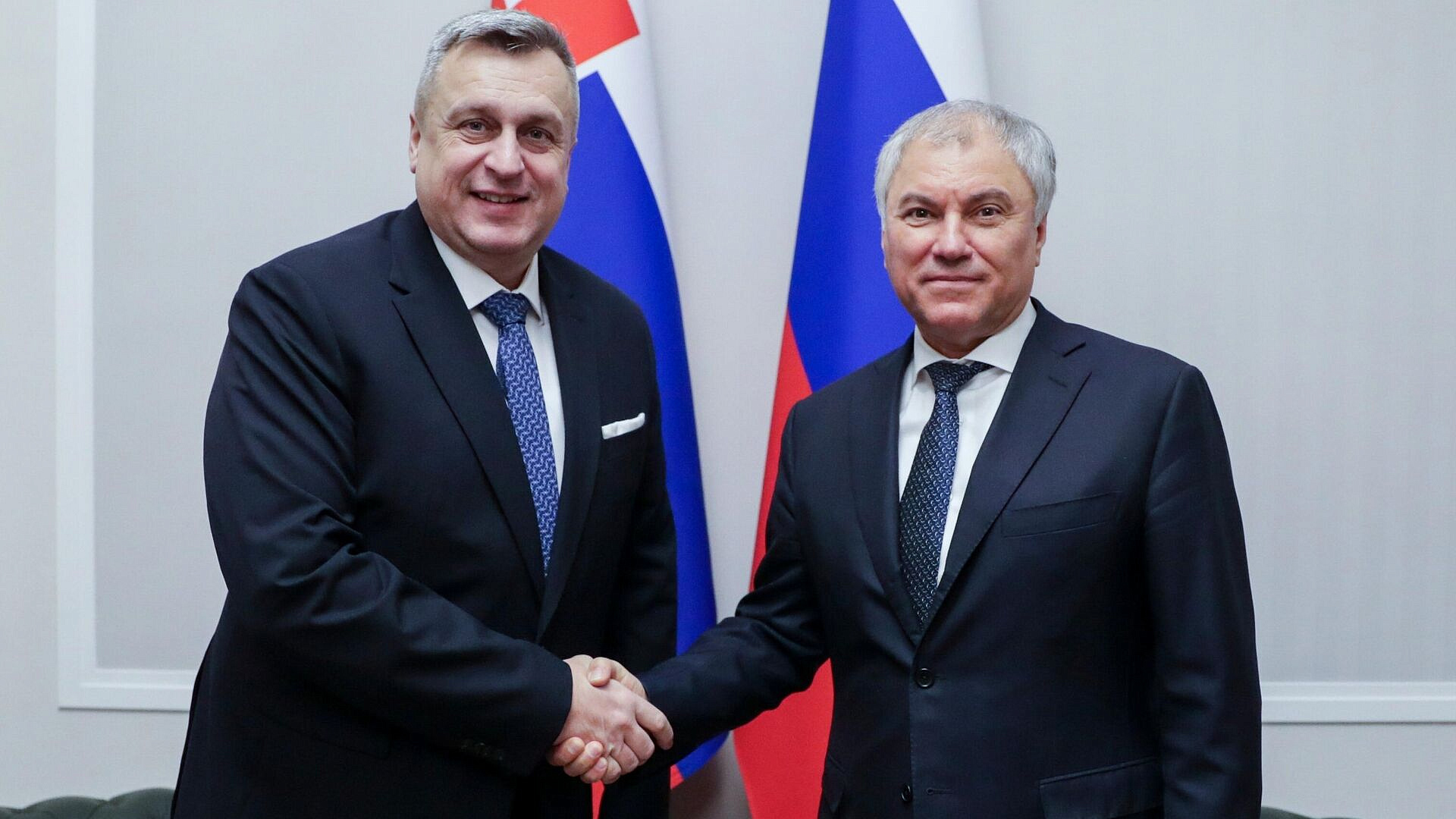 Володин пригласил словацких коллег на мероприятия в честь 80-летия Победы