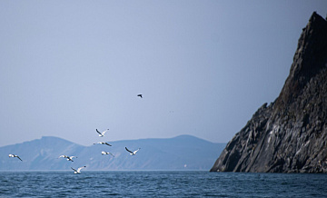 Жительница Москвы выиграла конкурс "Дальний Восток – Земля приключений"