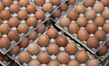 Импортные яйца поступают в Россию, в магазинах доступны разные варианты