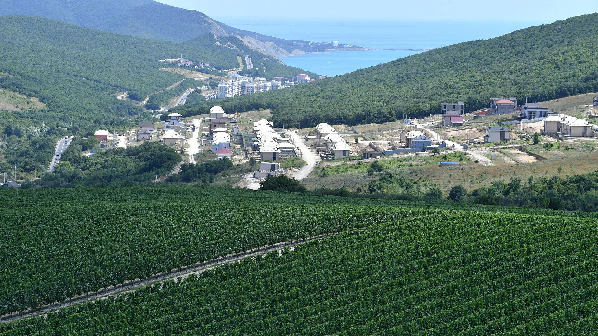 ������� ������ ����� ������� ���� �������