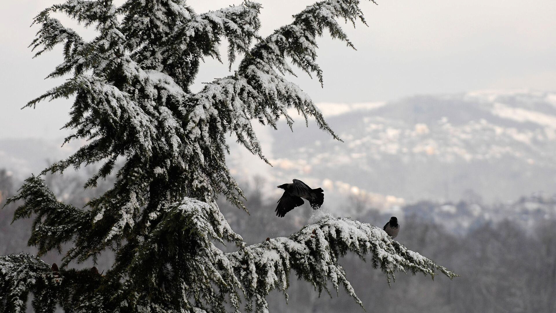 ��������� ���������� � ������� ��������� � ���� �� ��������