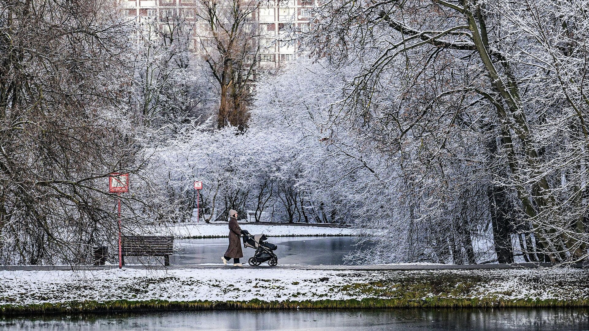 Рождение детей стало непозволительной роскошью для многих жителей Германии
