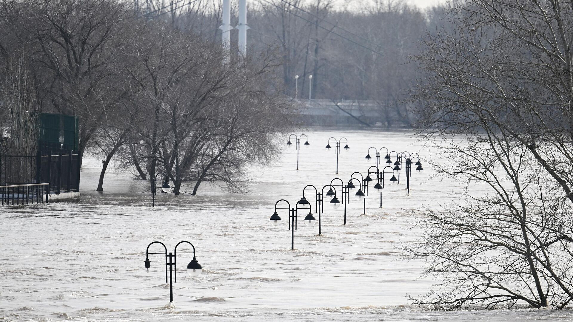 ������������ ������ ���������� � �������� ������������ �� ��������