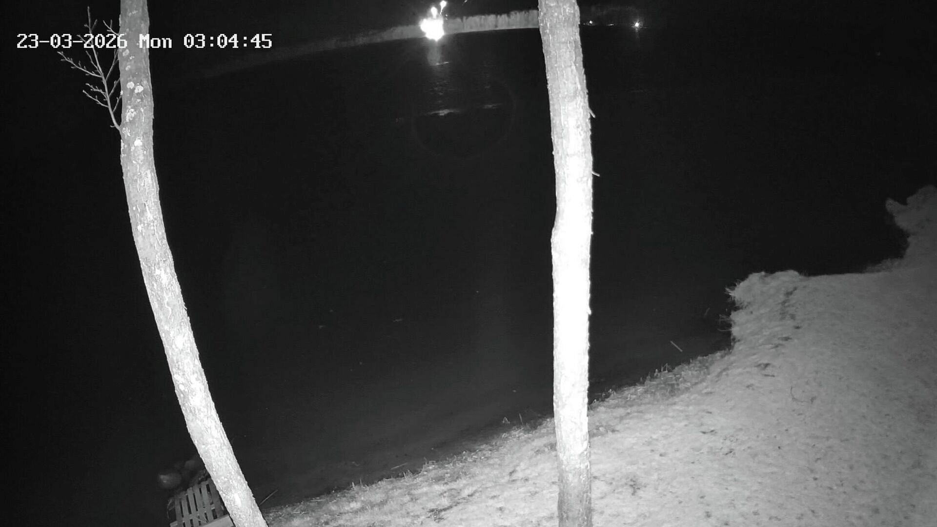 Минобороны Литвы раскрыло подробности о дроне, упавшем на территории страны