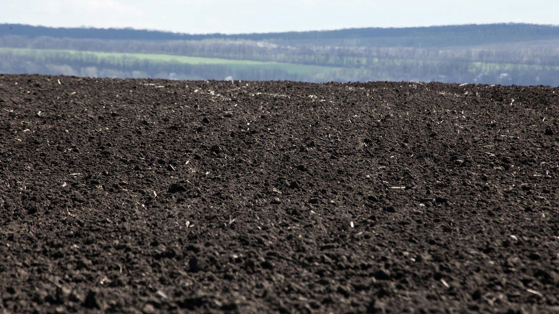 Более 126 гектаров сельхозземли передали аграриям Подмосковья с начала года
