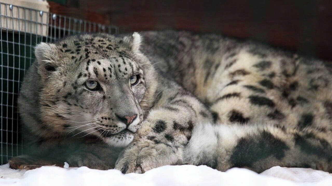 ������� �������� ����� �������� � ������������� �������