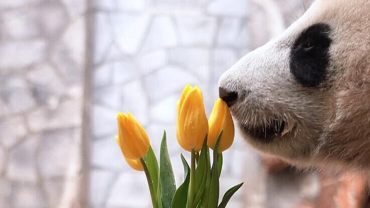 ����� ������ �������� �������� � 8 �����