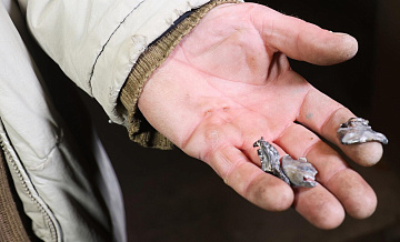 ���� ��� �������� ��� ����������� � ����������� �������