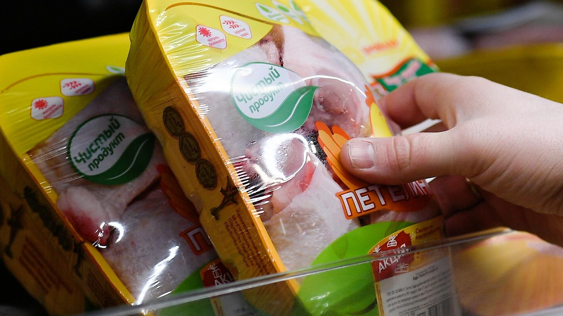 ��������������� ���������� ����������� ����������� � ��������� "���������"