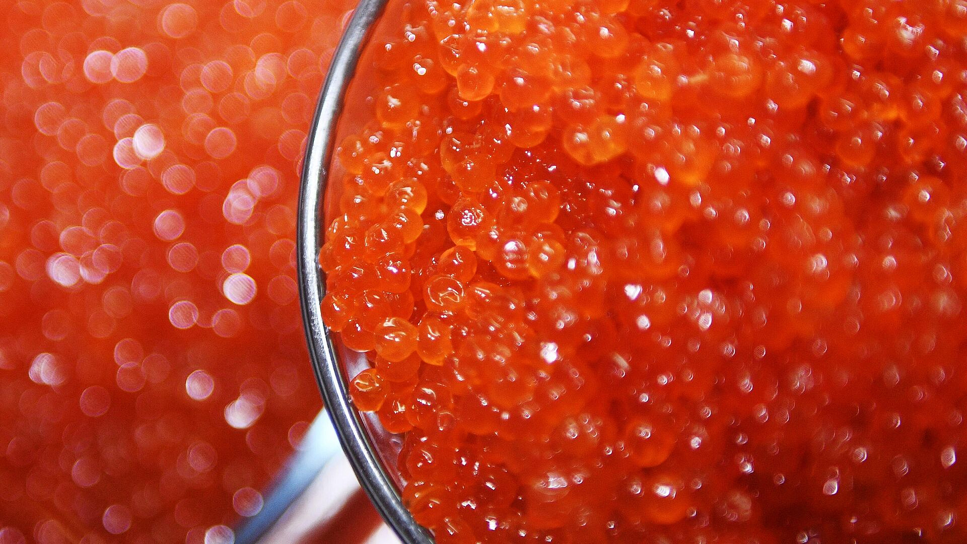 ����� ������������ ��������� ��������� � �������� ���� ������