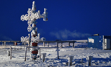 Россия найдет покупателей в случае отказа Японии от ее СПГ, заявили в МИД