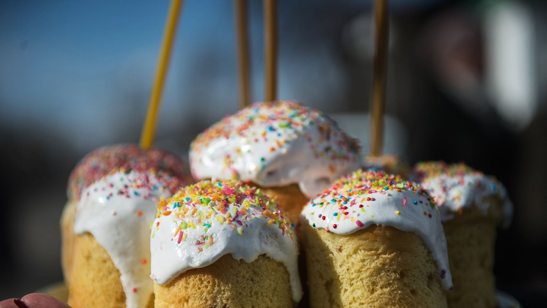 ���� ��������� � ���������� ������ ������