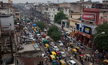 Импорт Индией древесины из России в августе достиг трехлетних максимумов