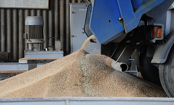 В ЕК объяснили, почему вводят пошлины, а не санкции на зерно из России