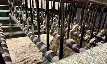Уборка льна-долгунца в Смоленской области идет рекордными темпами