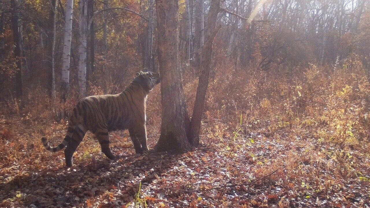 �������� ������� ������ � �������� ����������� � ���������� �����������