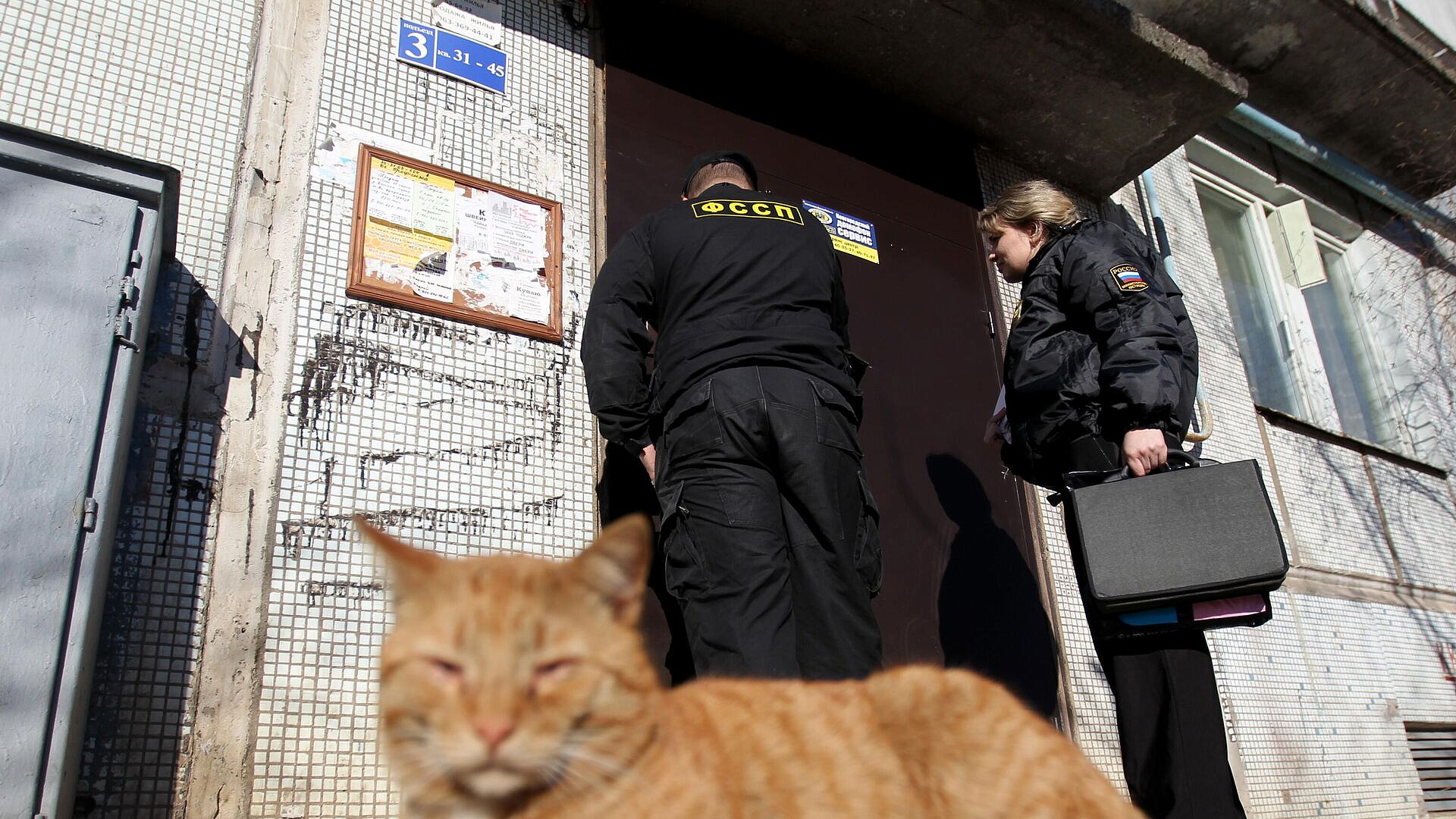 ����� ������� ����� ������, ������� �� �������� ���� �� ����