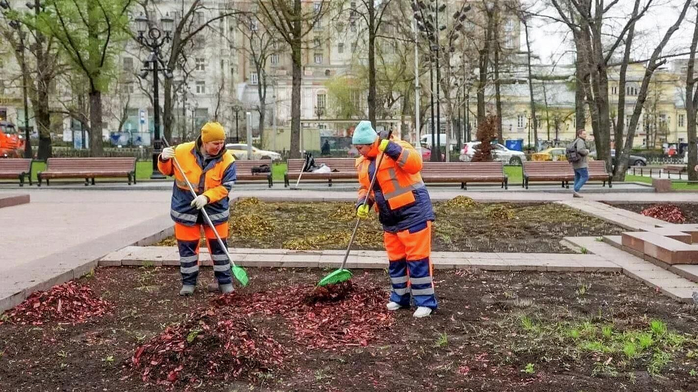 Городские цветники подготовили к весенне-летнему сезону в Москве