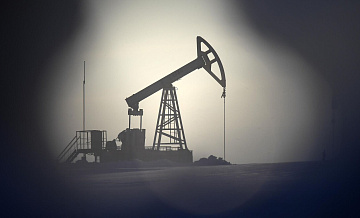 Посол Индии объяснил, от чего зависят объемы импорта нефти из России