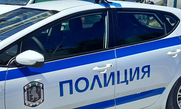 В Болгарии задержали 18 человек по подозрению в связах с неонацистами