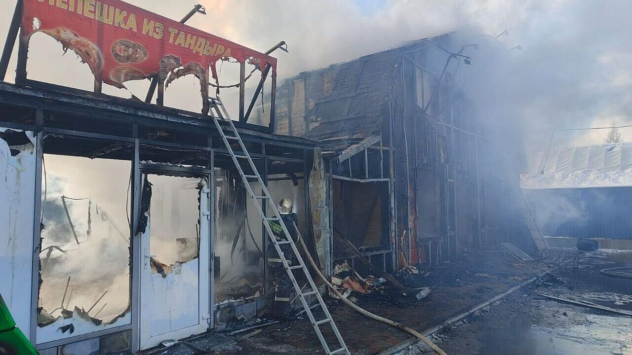 В Ленинградской области шесть человек пострадали при пожаре в кафе