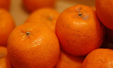 Названы главные поставщики мандаринов в Россию