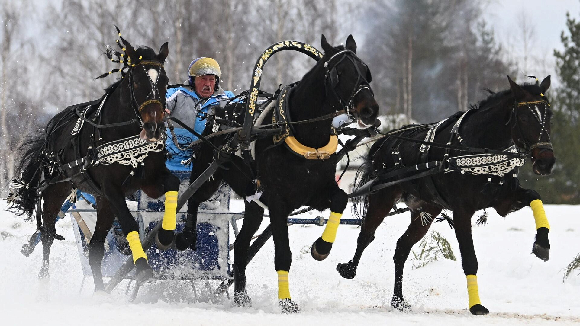 "Здесь ждут большой бизнес": русские тройки снова гремят