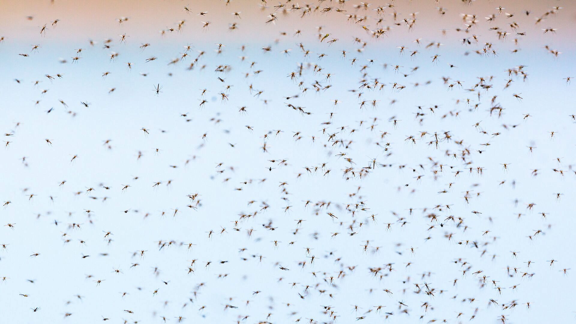 � ���������������� ������� �������� � ���������� ����������