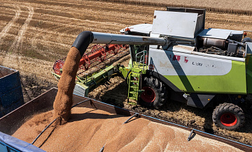 Россия переориентирует предназначенную Турции пшеницу на другие страны