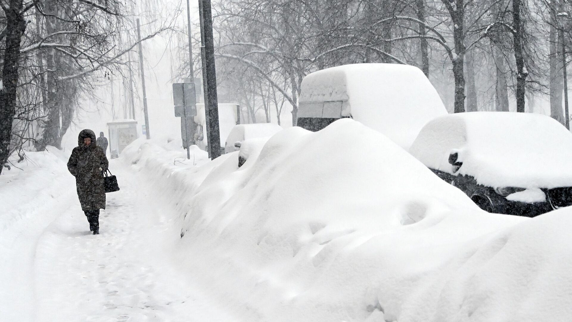 Синоптик не исключила приход оттепели в Москву в конце недели