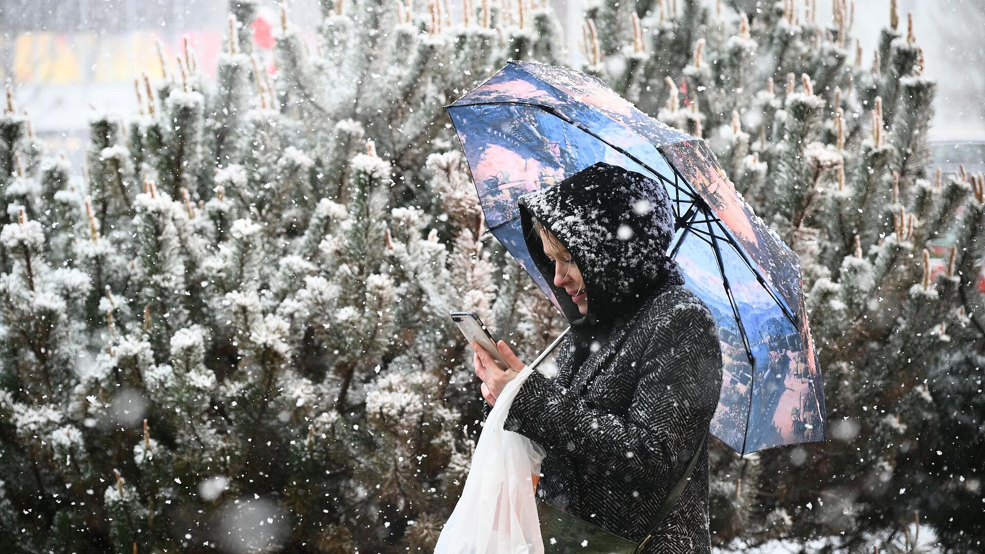 ������ �������� ������� � ������ �������� 28 �����������