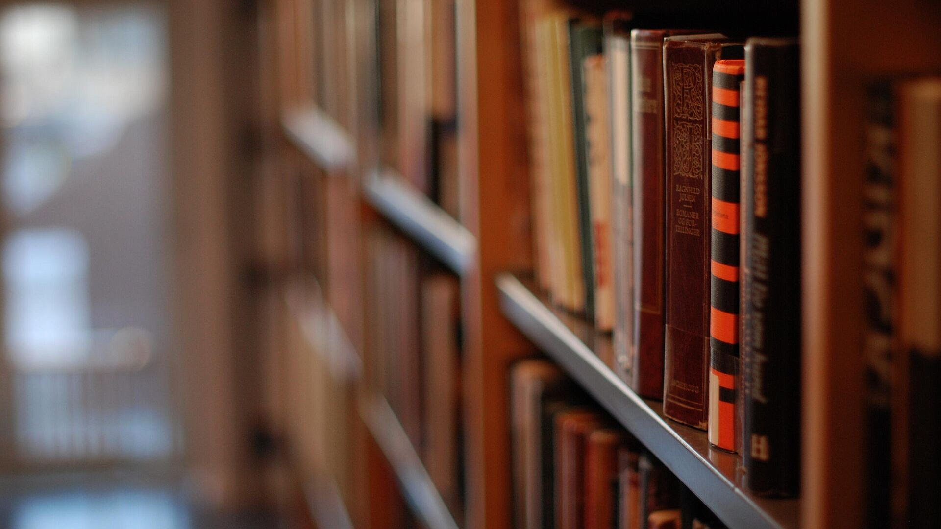 Писатель рассказал, какие книги читают бойцы СВО