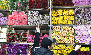 Запад хотел лишить российских женщин цветов, заявил Мишустин