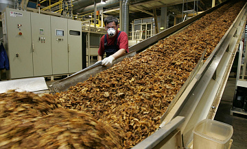 Сигареты Winston, Camel, LD, Sobranie, Mevius и «Русский стиль» останутся на полках в российских магазинах