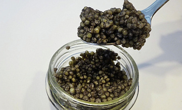 Подсчитано, достигнет ли производство черной икры в России рекордов СССР