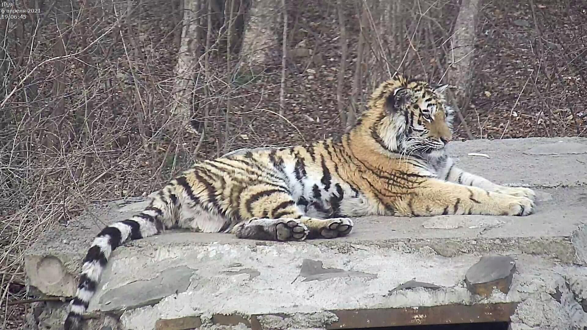 ����� � �������� �� �������� ������ ������������ ������������� ������