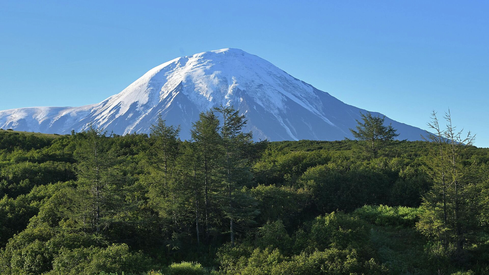 � ��������� �������� ��������� ������������� ���������� 5,0 