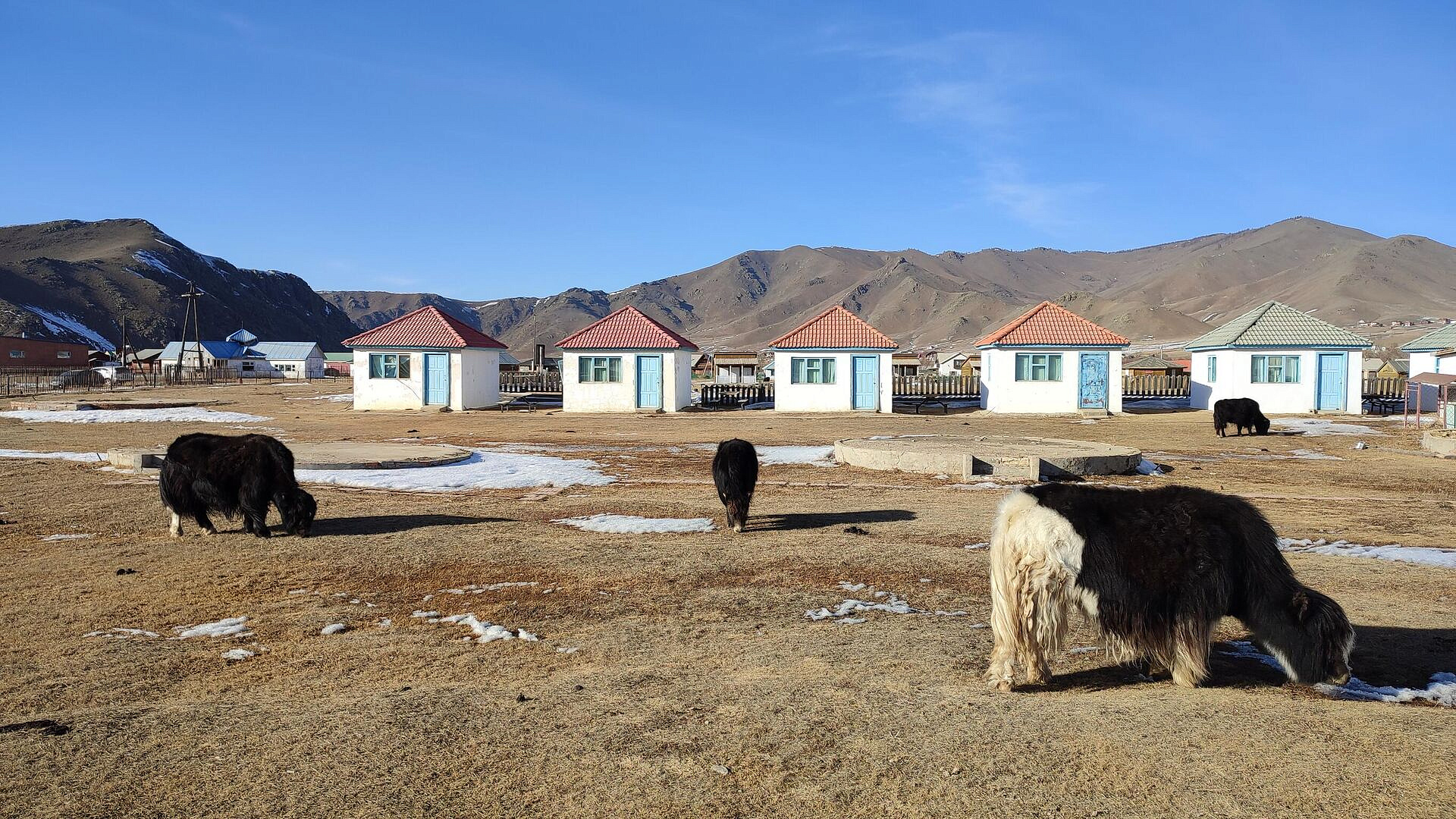 � ������� ������ � �������� ���� ������� �������