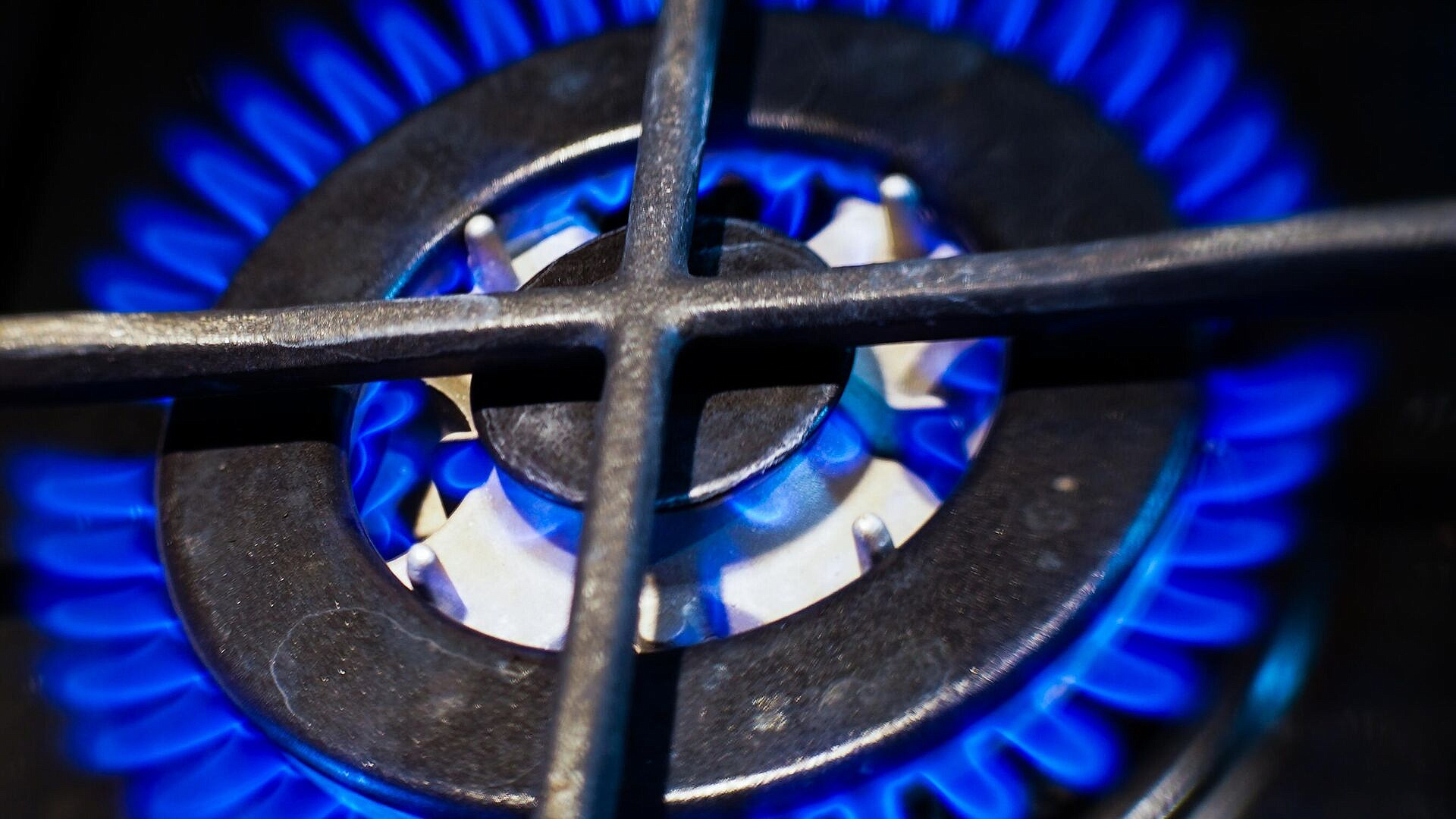 ������ ��������� ������� ����������� ��������������� ���� ����� �� 19,5% 