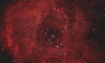 "Роскосмос" показал космические туманности, похожие на цветы