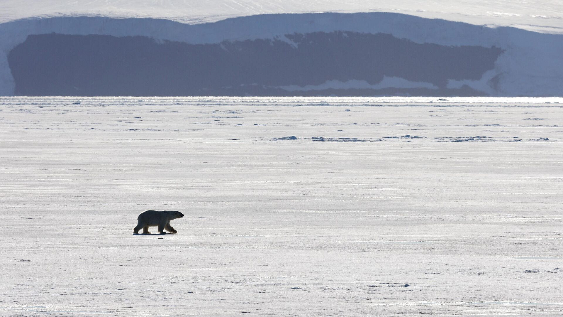 В Якутии рассказали, когда может появиться беспилотный дирижабль