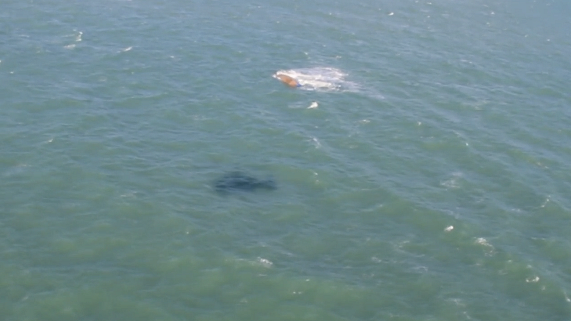 ��������� �������� "���������������" �� ����� �������� �� ���������