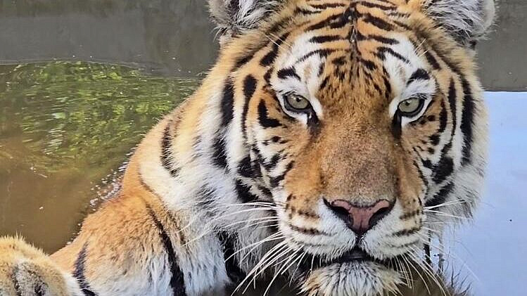 � ������������� ������� ������� ������� ��� ����� ����� ����������� �������