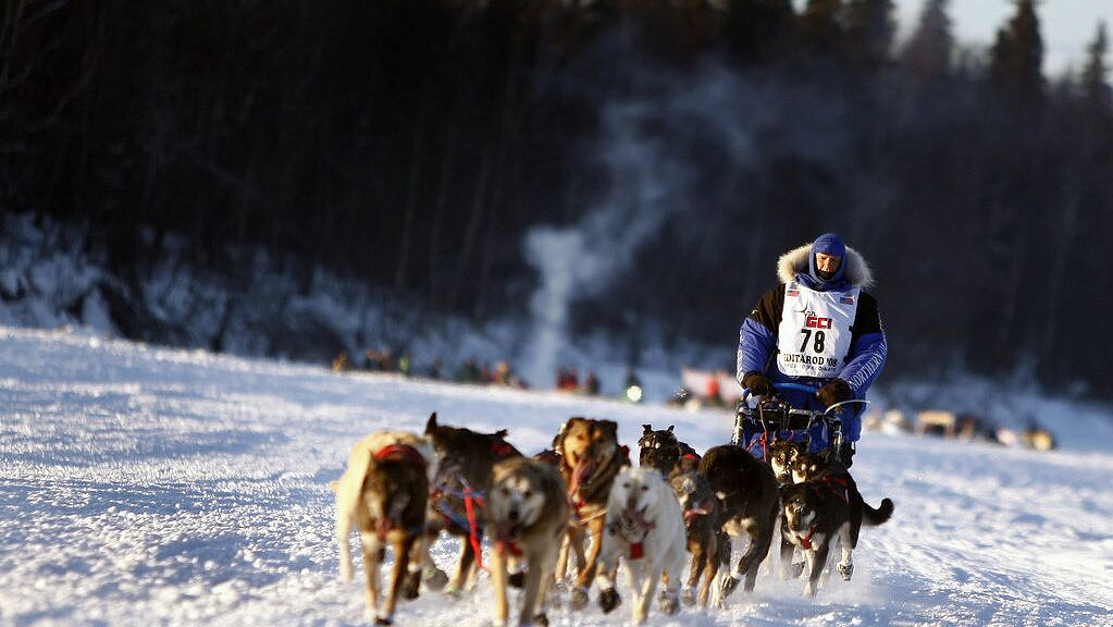 � ���������� ������� ����������� ���������� ��� �� ����� �������� �������