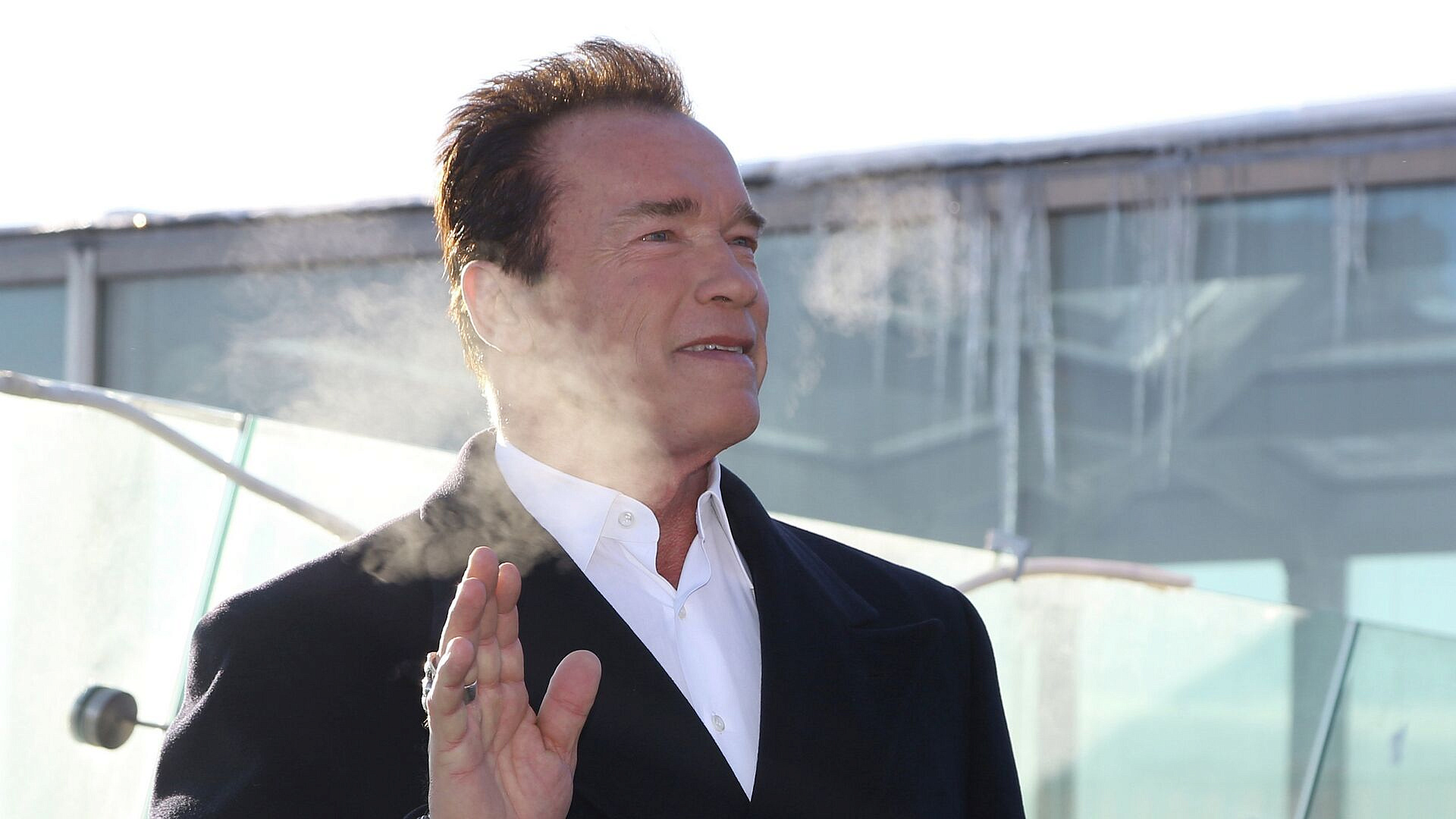 Шварценеггер получил почетную докторскую степень в Северной Ирландии